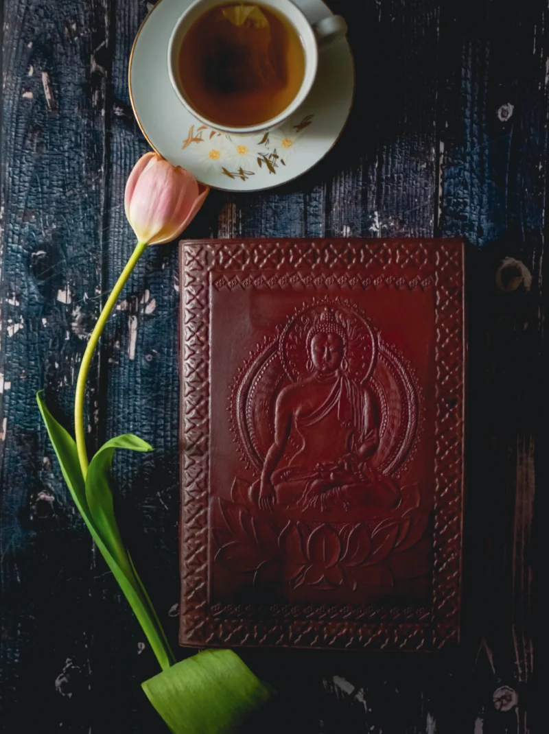 Gain timeless spiritual insights from Native American spirituality: Mayan and Lakota wisdom.